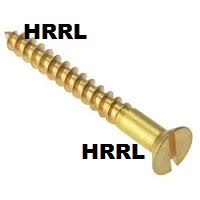 Brass Polished Wood Screws